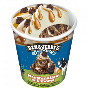 Ben & Jerry's Marshmallow & S'more (427ml)